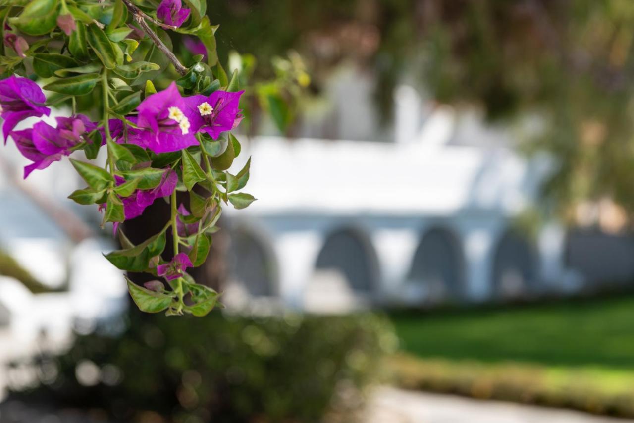 Casa Montzo Boutique Hotel Katelios Luaran gambar